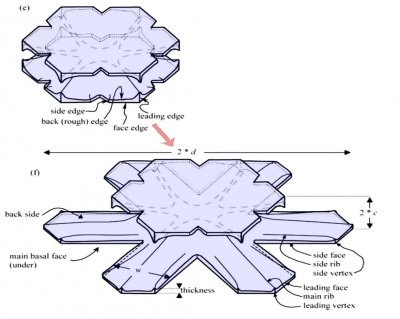 How some snow crystals hide their droplet origin